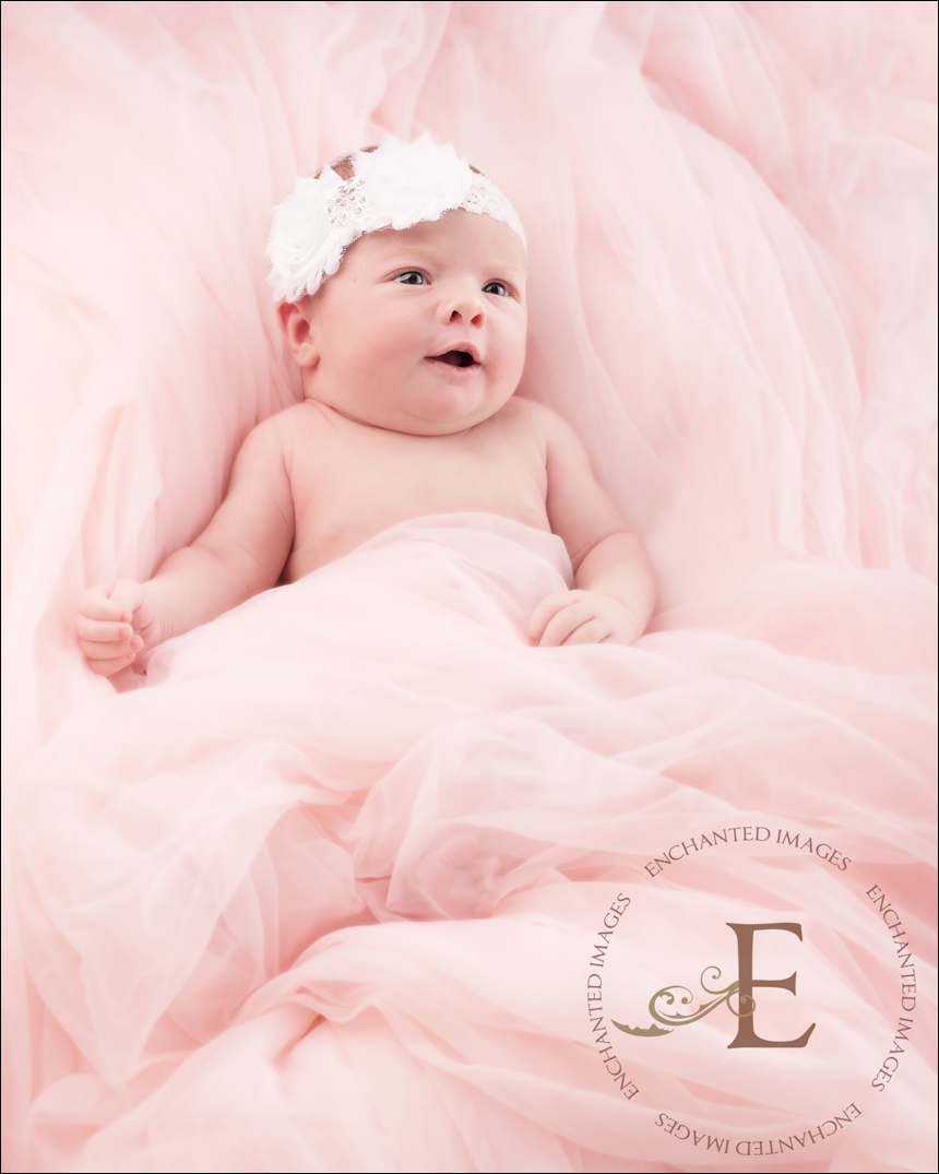 sacramento newborn photography